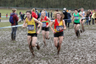 Womens under-17s 2018 British Inter Counties Cross Country Champs., Prestwold Hall, Loughborough. Photo: David T. Hewitson/Sports for All Pics